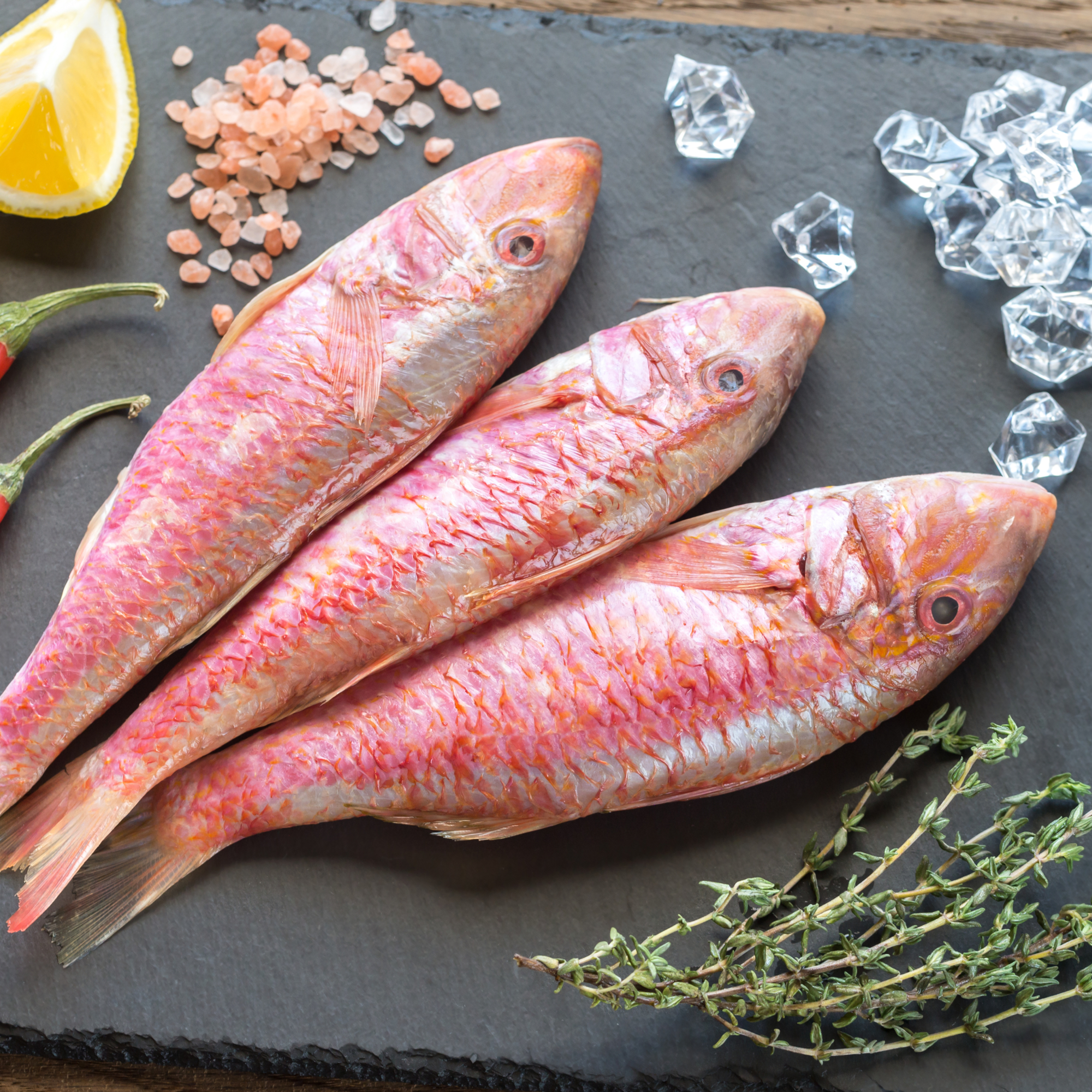 Red Mullet